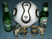 �եåȥ���ʤ�ThouSpr��