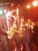 テディホーンズ