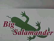 Big Salamander  since2006