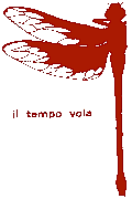 il tempo vola