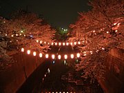 東京都板橋区絶景写真館