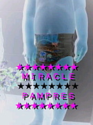 Miracle Pampers