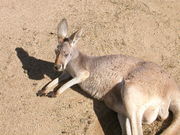 健康雑誌こぼれ話