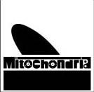 BAR��MITOCHONDRIA��in SAPPORO