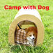 Camp with Dog