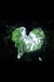 2012ǯ528ޤ줵