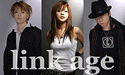 link age