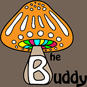 the buddy
