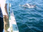 ŷ����֡���������ͼ��