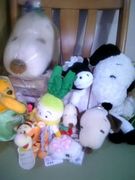 1984年6月6日生まれ集合☆