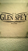 GLEN SPEY <ގڎݎ͎ߎ>