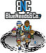 BlueNeeds&Co.