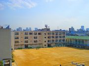 ������ع���