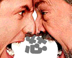 �ץ��󥬡��ޥ͡�������
