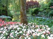 Gardeners' Unit