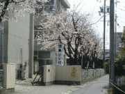 �����Ω���羮�ع�