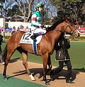 �ե����꡼�饤��