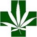 医療と大麻