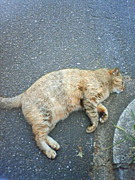 ��ե��..��դꤿ���á�