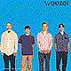 weezer（gay only）