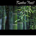 Bamboo Forest.