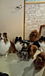 �ڥåȥ����� animal love