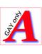 A型（GAY ONLY）