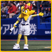 ��*BayStars�ե���ν��λ�*��