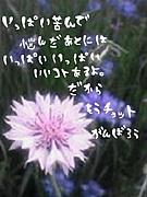 �ؤӤ���Ĺ