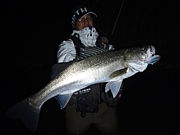 ★福井のシーバス★　