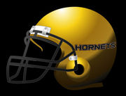 ���չ��硡��HORNETS��