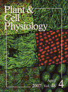 ���ܿ�ʪ�����ز� (PCP)