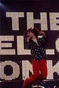 The Yellow Monkey �����Ź