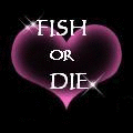 ♡FISH OR DIE
