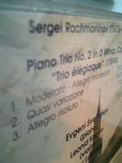 piano trio　ピアノ三重奏