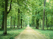 �����ؤζ�ƻ (̵��)