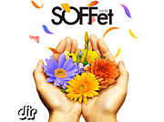 [dir]SOFFet