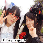 S.D-project