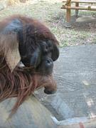 ������㤪�β�