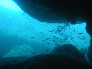 Cカード取りに行こ♪