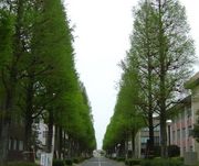 Хǯ