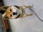 ����ڡ��饤��ؤ褦������