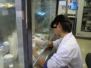 ������ �Ķ����ͥ륮�����漼