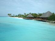 ����ι�Ԥ������������