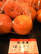 �Ϥä���Ʊ����
