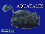 ����Ʋ�����ѣգ����ԣ��̣ţӡ�