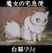 ☆白猫リリィ☆
