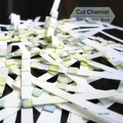 CUT CHEMIST-DJ SHADOW