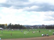 厚別公園サブの芝生が好きだ