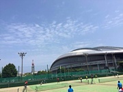 ���ҥ��եȥƥ˥���ʲ���